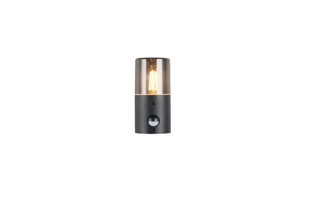 Cena po obniżce - Trio 222260132 Lampa ścienna zewnętrzna HOOSIC CZUJNIK RUCHU