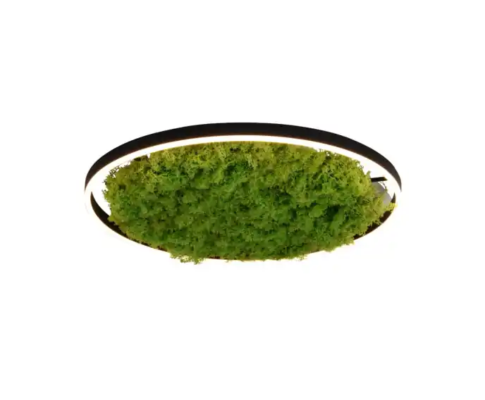 Ograniczona dostępność | Plafon 58.5 cm LED 28W mech naturalny okrągły GREEN RITUS Leuchten Direkt